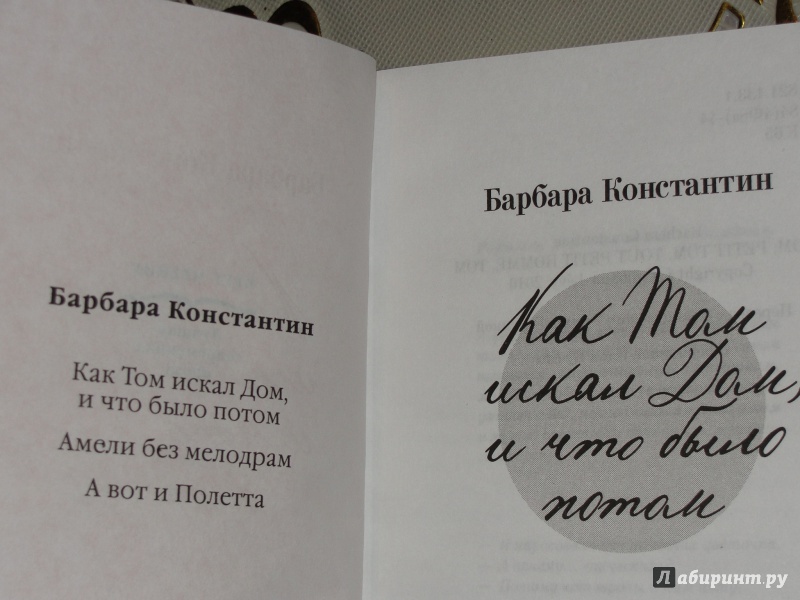 Иллюстрация 34 из 36 для Как Том искал дом, и что было потом - Барбара Константин | Лабиринт - книги. Источник: Катран777