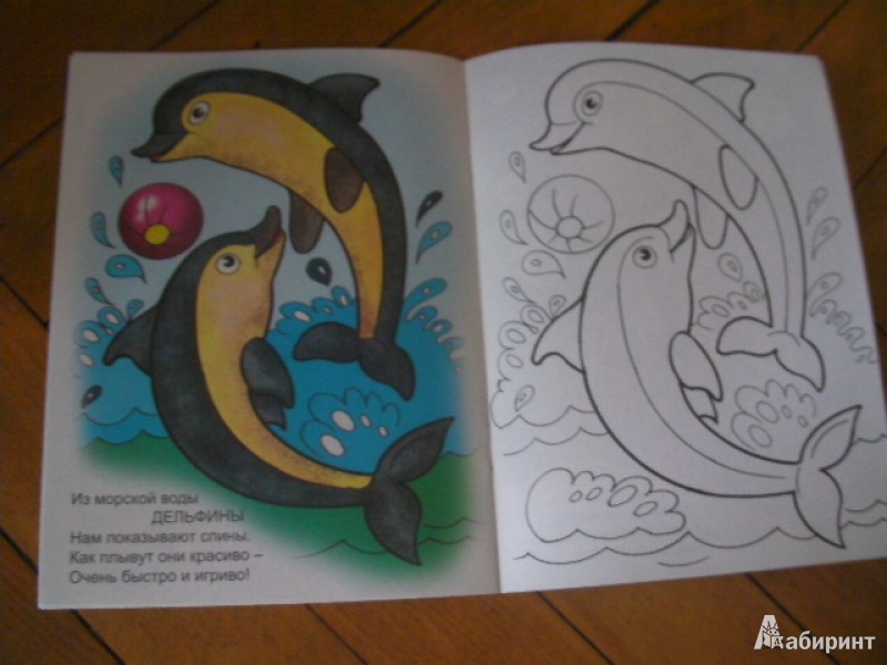 Иллюстрация 4 из 25 для Кто живет в воде - Наталья Мигунова | Лабиринт - книги. Источник: Сказочная фея