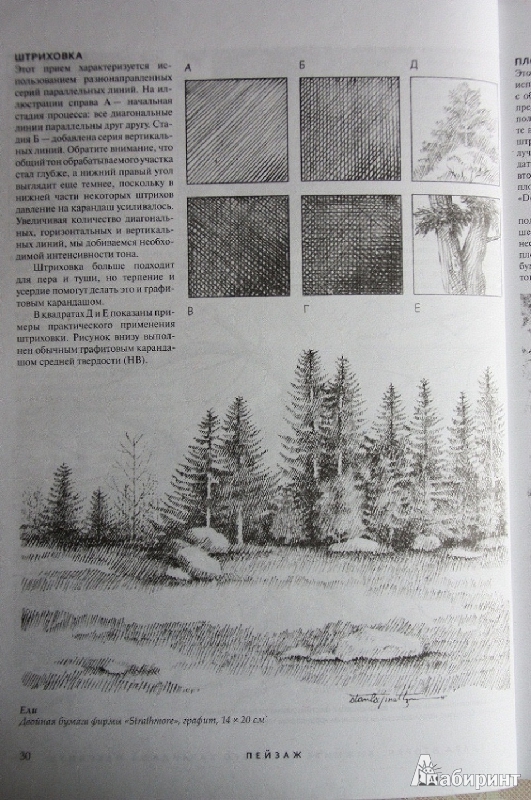 Иллюстрация 24 из 30 для Пейзаж. Техника рисования - Стенли Молцмен | Лабиринт - книги. Источник: С  Т