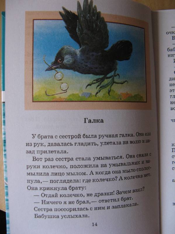 Иллюстрация 10 из 22 для Беспризорная кошка - Борис Житков | Лабиринт - книги. Источник: Осень-рыжая подружка.
