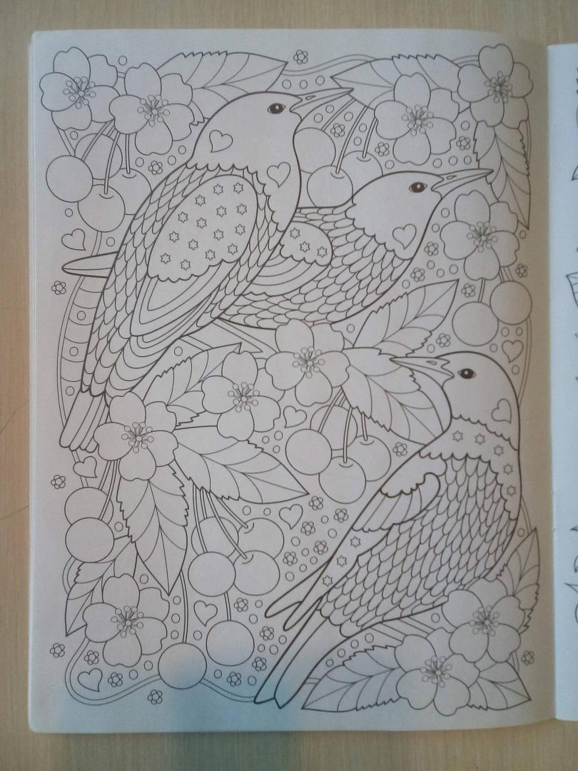 Иллюстрация 18 из 33 для Сады. Раскраска | Лабиринт - книги. Источник: Юлия Яговцева