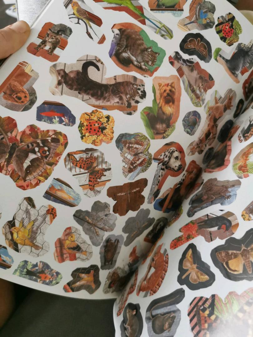 Иллюстрация 27 из 29 для 1000 животных с наклейками | Лабиринт - книги. Источник: Лабиринт