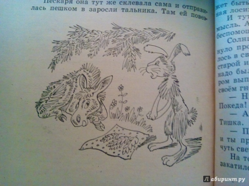 Иллюстрация 67 из 83 для Каникулы кота Егора - Николай Наволочкин | Лабиринт - книги. Источник: Якушева  Вера