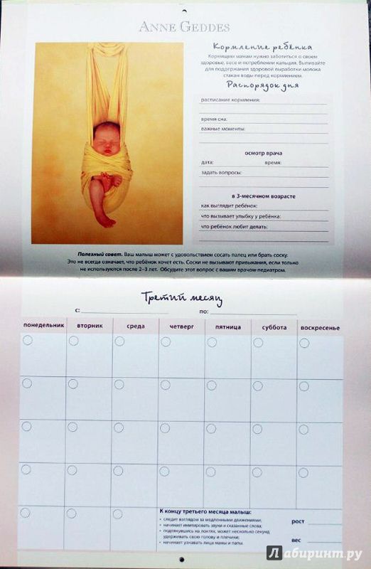 Иллюстрация 4 из 13 для Недатированный календарь "Мой первый год жизни" - Анне Геддес | Лабиринт - сувениры. Источник: Большакова  Кристина