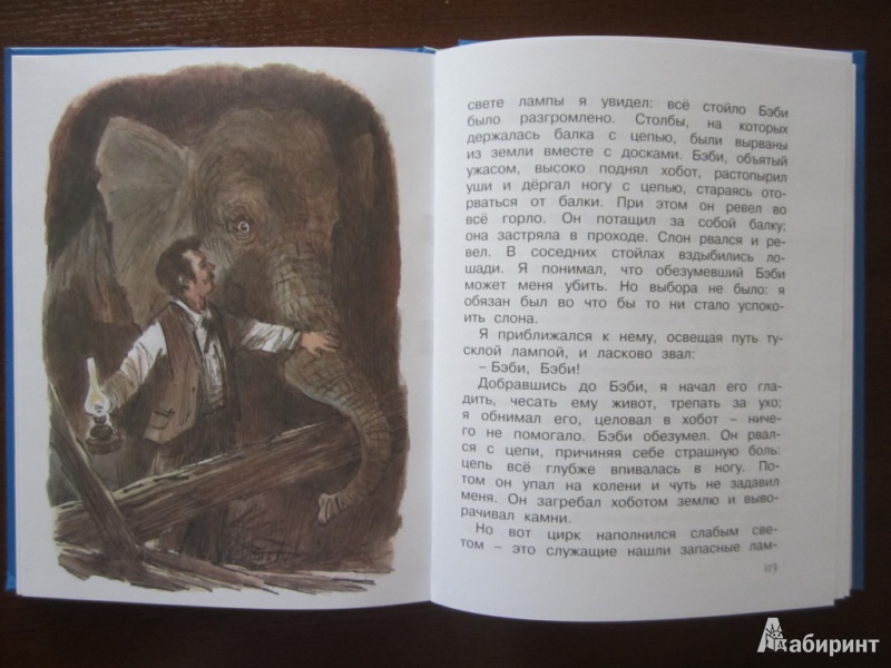 Иллюстрация 42 из 46 для Мои звери. Рассказы - Владимир Дуров | Лабиринт - книги. Источник: ЮлияО