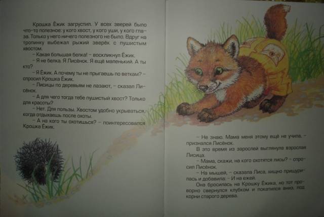 Иллюстрация 32 из 36 для Крошка Ежик - Тамара Крюкова | Лабиринт - книги. Источник: Настёна