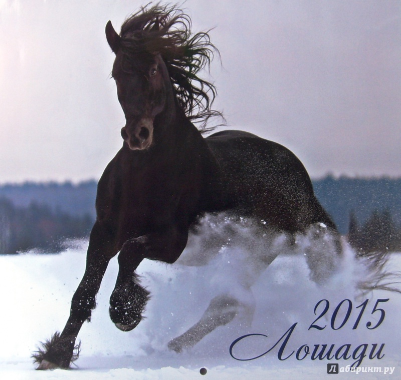 Иллюстрация 2 из 6 для Календарь 2015 "Лошади" | Лабиринт - сувениры. Источник: Соловьев  Владимир