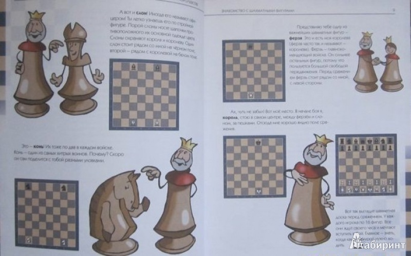 Иллюстрация 21 из 25 для Приключения в шахматном королевстве - Халас, Геци | Лабиринт - книги. Источник: Ketrine