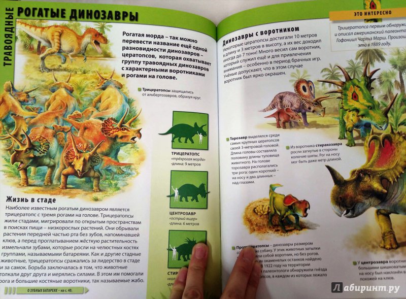 Иллюстрация 14 из 15 для Динозавры - Барбара Маевская | Лабиринт - книги. Источник: Савчук Ирина
