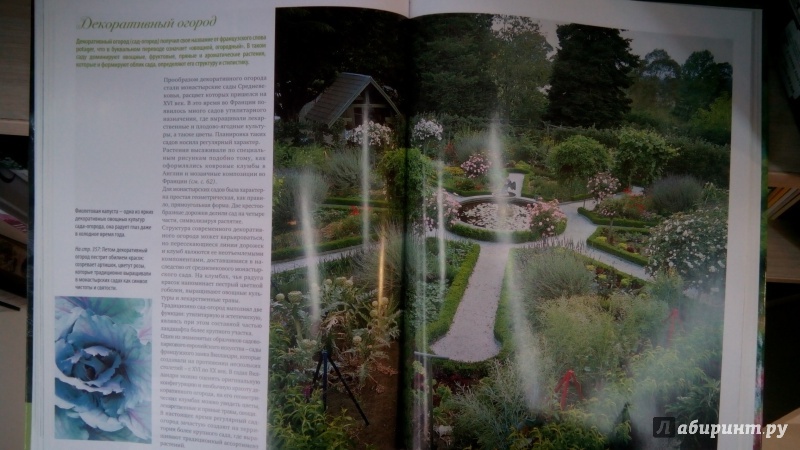 Иллюстрация 25 из 27 для Стиль и дизайн вашего сада - Мередит Киртон | Лабиринт - книги. Источник: Мила