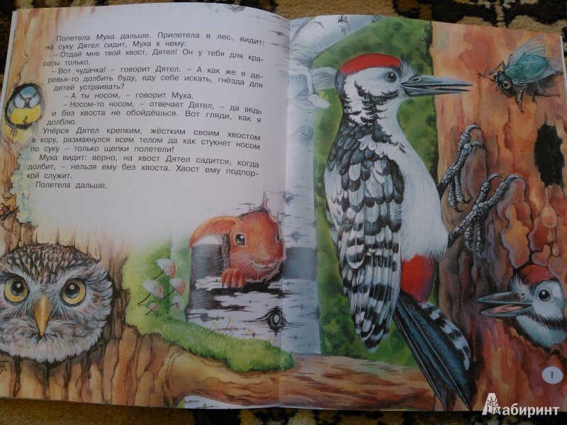 Иллюстрация 11 из 25 для Хвосты - Виталий Бианки | Лабиринт - книги. Источник: Вероника Руднева