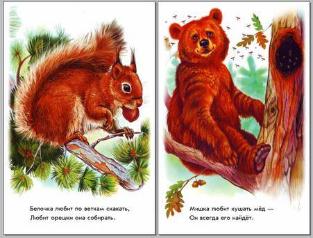 Иллюстрация 5 из 21 для В лесу - Олеся Квитка | Лабиринт - книги. Источник: CDRom