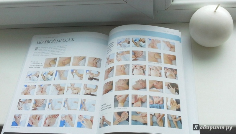 Иллюстрация 10 из 11 для Анатомия массажа - Эллсуорт, Олтман | Лабиринт - книги. Источник: Svetlana  Sun