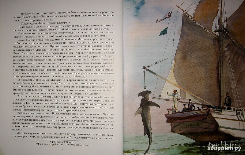 Иллюстрация 50 из 80 для Дети капитана Гранта - Жюль Верн | Лабиринт - книги. Источник: Трухина Ирина