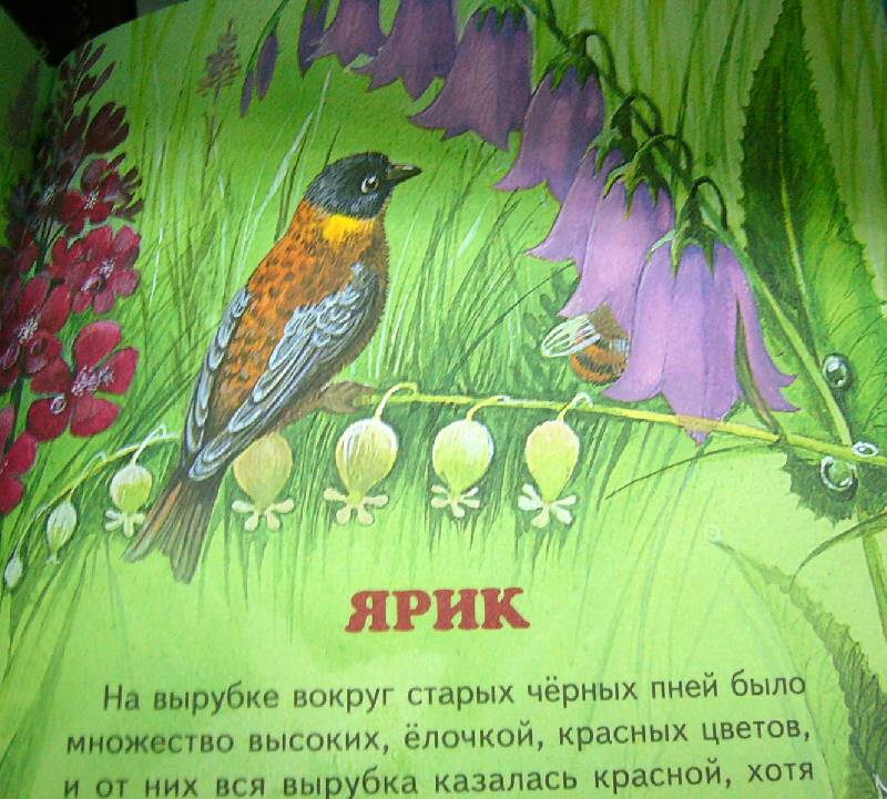 Иллюстрация 14 из 37 для Про птиц и зверей - Михаил Пришвин | Лабиринт - книги. Источник: Nika