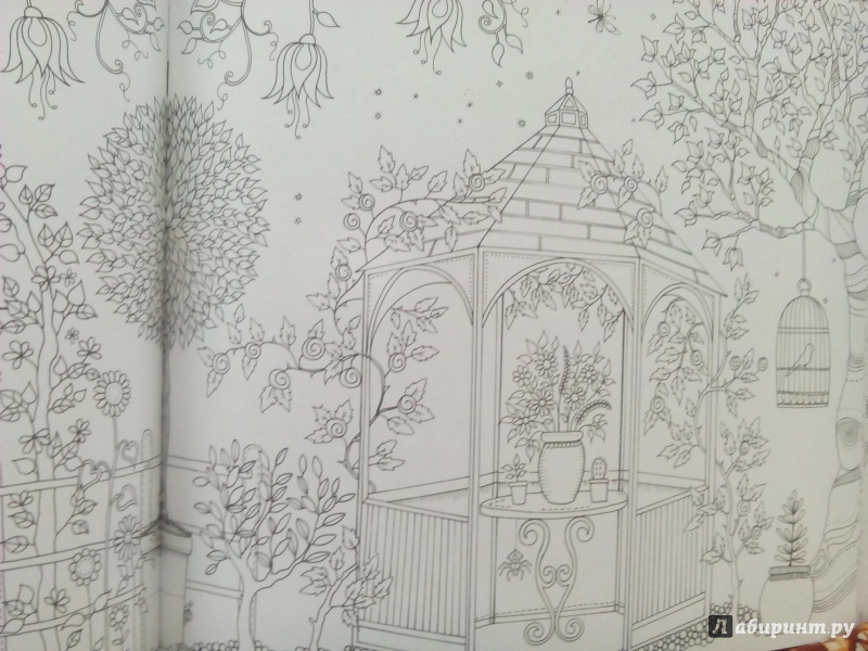 Иллюстрация 86 из 149 для Таинственный сад - Джоанна Бэсфорд | Лабиринт - книги. Источник: Анютка