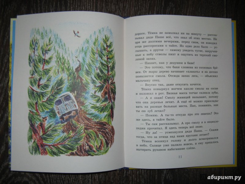 Иллюстрация 13 из 29 для Сын тайги - Наталья Шицкая | Лабиринт - книги. Источник: Эля