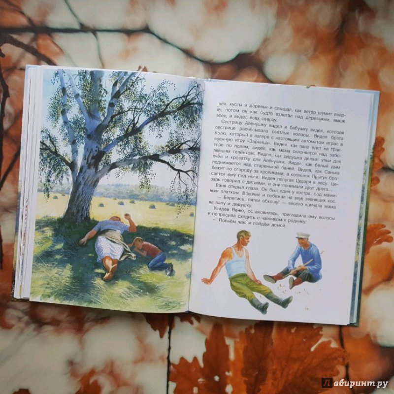 Скребицкий четыре художника 2 класс литературное чтение. Книги Скребицкого для детей. Книжка рассказы о природе для девочек подростков. Рассказы для детей \"в лесу\" по г.Скребицкому. Скребицкий рассказы для детей.