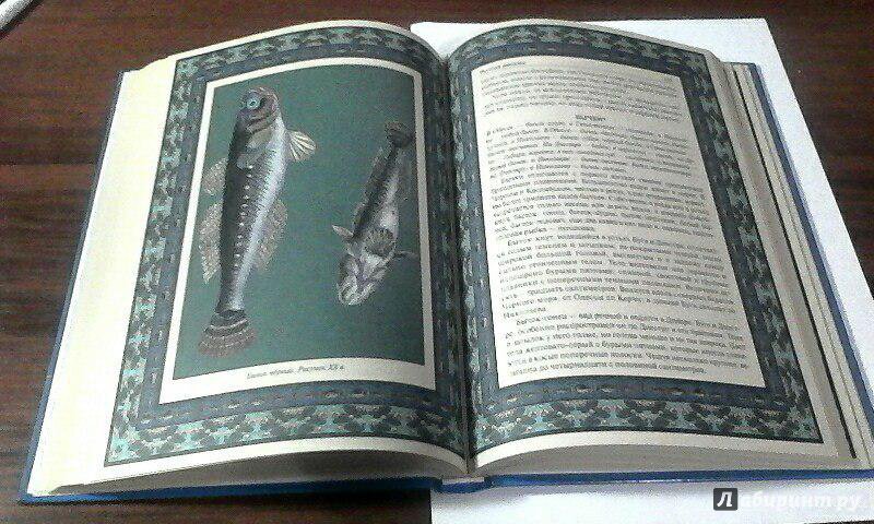 Иллюстрация 19 из 33 для Русская рыбалка | Лабиринт - книги. Источник: Labi