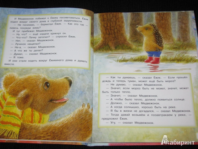 Иллюстрация 14 из 79 для Зимние сказки - Сергей Козлов | Лабиринт - книги. Источник: Nemertona
