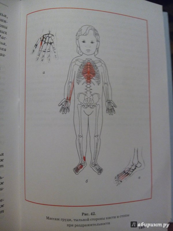 Иллюстрация 24 из 36 для Исцеляющие родительские прикосновения. Акупрессурная терапия при болезнях детей - Донна Финандо | Лабиринт - книги. Источник: Oksee