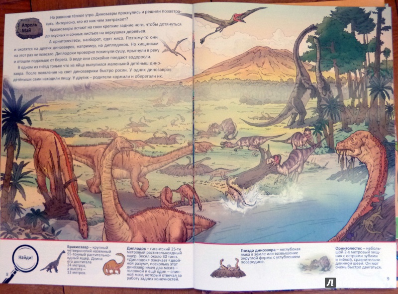 Иллюстрация 11 из 16 для О динозаврах - Оливия Брукс | Лабиринт - книги. Источник: WhiteRacoon
