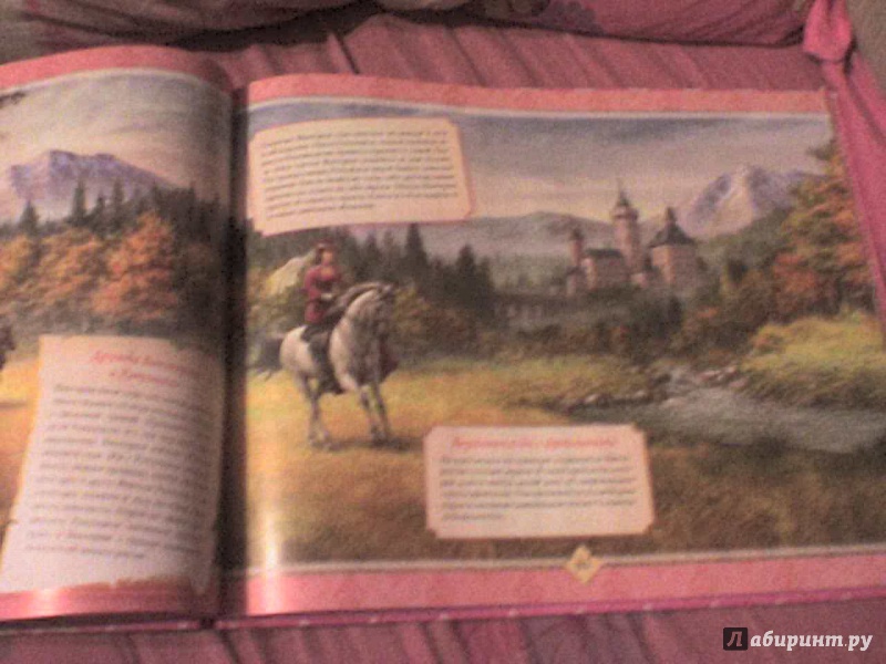 Иллюстрация 14 из 15 для Настольная книга принцессы | Лабиринт - книги. Источник: Роза с шипами