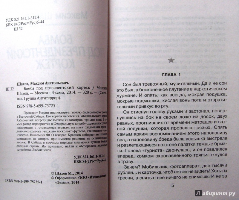 Иллюстрация 3 из 5 для Бомба под президентский кортеж - Максим Шахов | Лабиринт - книги. Источник: Соловьев  Владимир