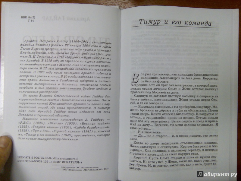 Иллюстрация 18 из 23 для Тимур и его команда - Аркадий Гайдар | Лабиринт - книги. Источник: Архипова  Марина