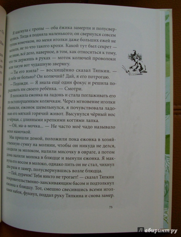 Иллюстрация 85 из 86 для Тяпкин и Леша - Майя Ганина | Лабиринт - книги. Источник: KVK