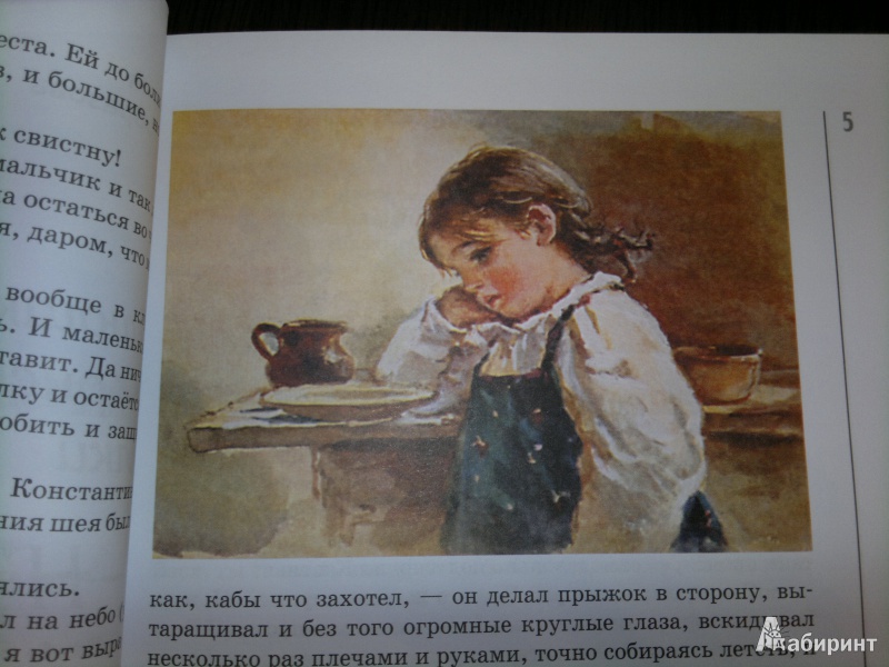 Иллюстрация 4 из 10 для Чудесный подарок - Ольга Стацевич | Лабиринт - книги. Источник: Книголюбительница