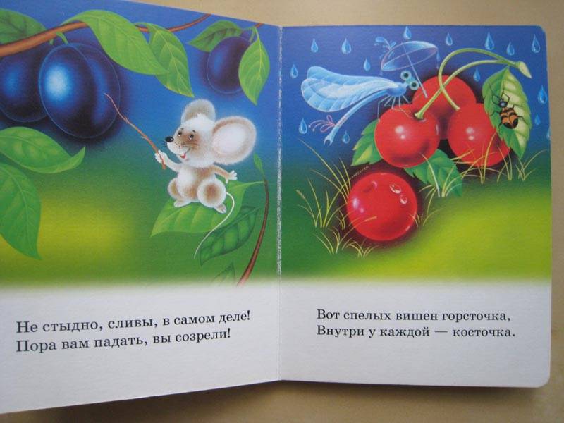 Иллюстрация 6 из 8 для В саду и огороде - Татьяна Коваль | Лабиринт - книги. Источник: natura