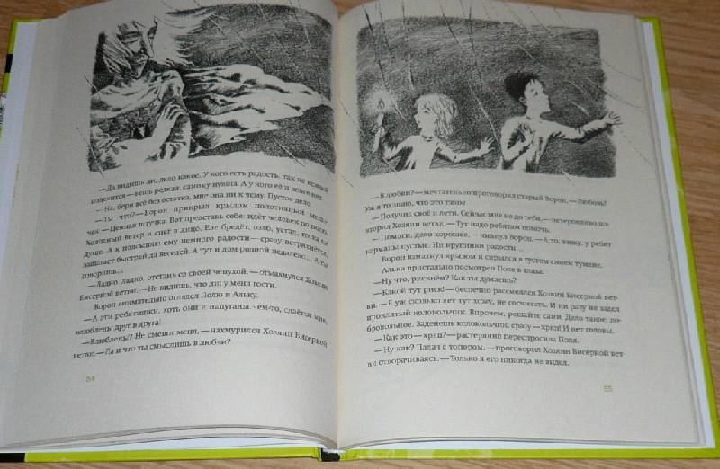 Иллюстрация 21 из 50 для Тайна железного дерева - Софья Прокофьева | Лабиринт - книги. Источник: Pam