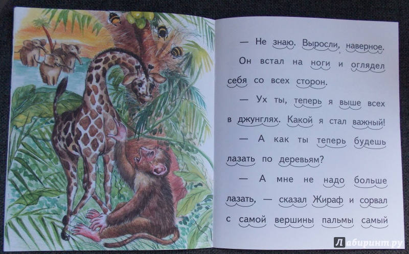 Иллюстрация 6 из 7 для Почему у жирафа длинная шея - Елена Ермолова | Лабиринт - книги. Источник: Sweet mama