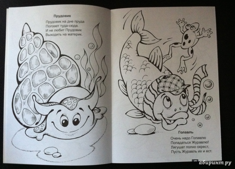 Иллюстрация 6 из 6 для От ручья до моря - Юрий Парфенов | Лабиринт - книги. Источник: Лабиринт