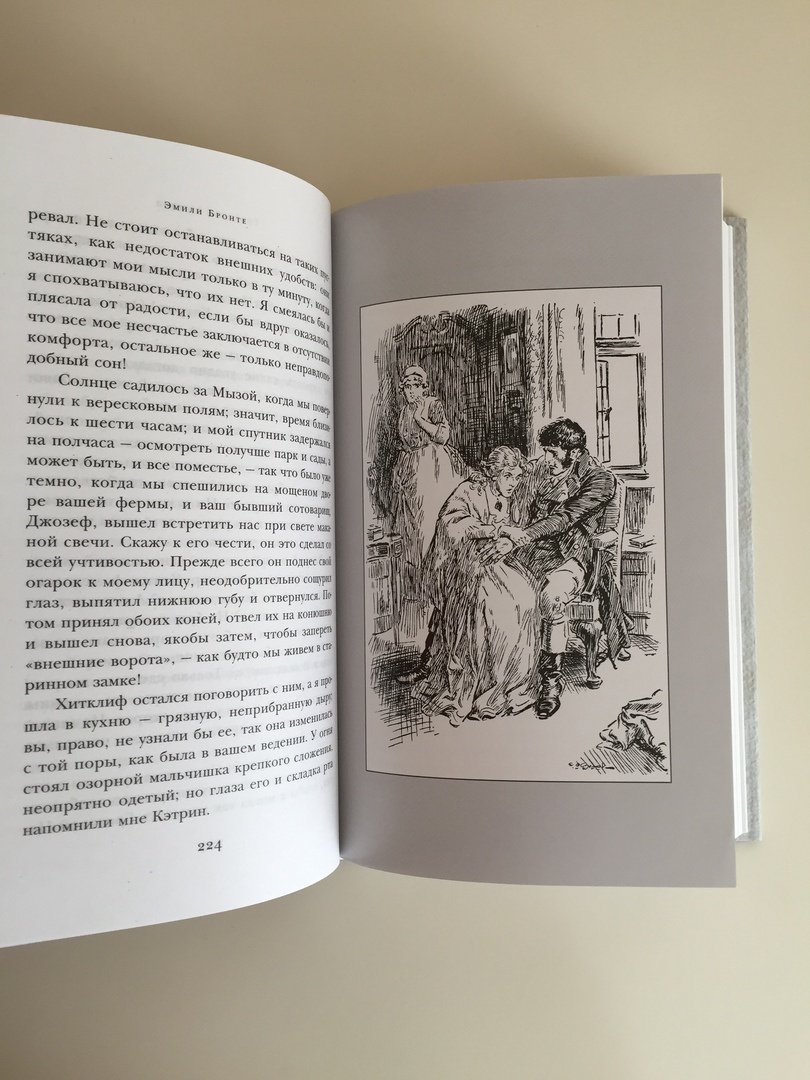 Иллюстрация 32 из 33 для Грозовой перевал - Эмили Бронте | Лабиринт - книги. Источник: Кондратенко  Наталья