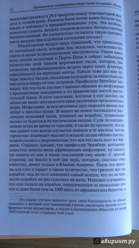 Иллюстрация 19 из 30 для Путешествие натуралиста вокруг света на корабле "Бигль". В 2-х книгах - Чарльз Дарвин | Лабиринт - книги. Источник: Подмосковная панда