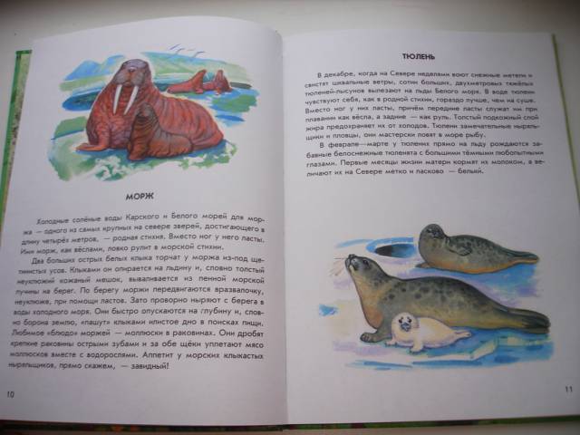 Иллюстрация 16 из 40 для Азбука живой природы - Александр Барков | Лабиринт - книги. Источник: Осьминожка