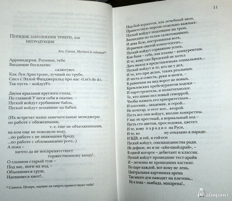 Иллюстрация 7 из 11 для Вишневский Сад. Быть заменимым некрасиво - Владимир Вишневский | Лабиринт - книги. Источник: Леонид Сергеев