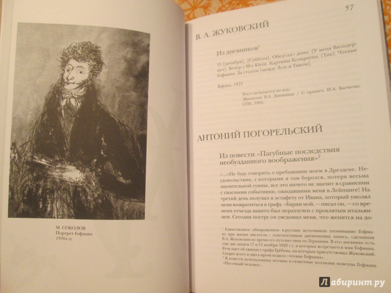 Иллюстрация 6 из 31 для Русский круг Гофмана | Лабиринт - книги. Источник: NiNon