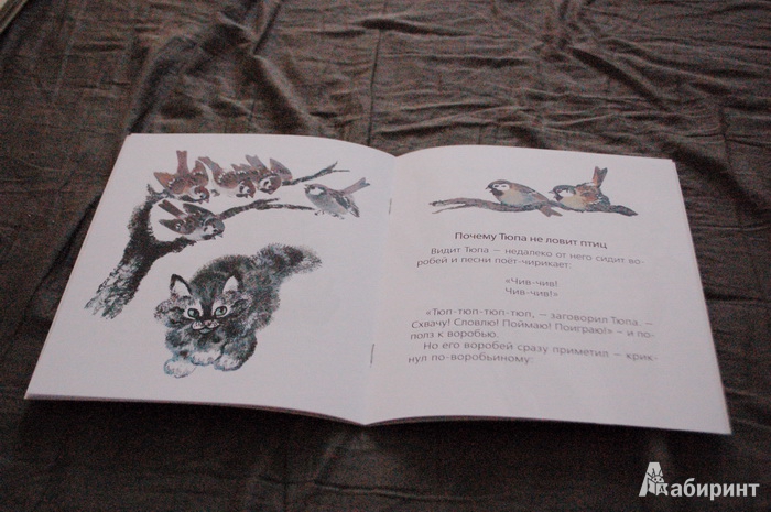 Иллюстрация 3 из 10 для Почему Тюпа не ловит птиц - Евгений Чарушин | Лабиринт - книги. Источник: Ясинская  Анна Михайловна