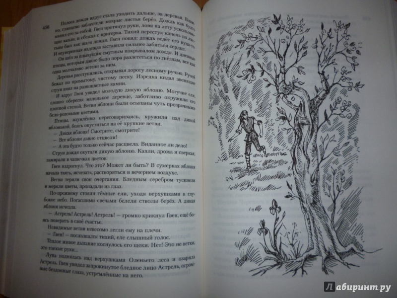 Иллюстрация 11 из 12 для Всё о волшебнике Алёше, коте Ваське, чудесных ключах и сказочных приключениях - Софья Прокофьева | Лабиринт - книги. Источник: Бабкин  Михаил Юрьевич