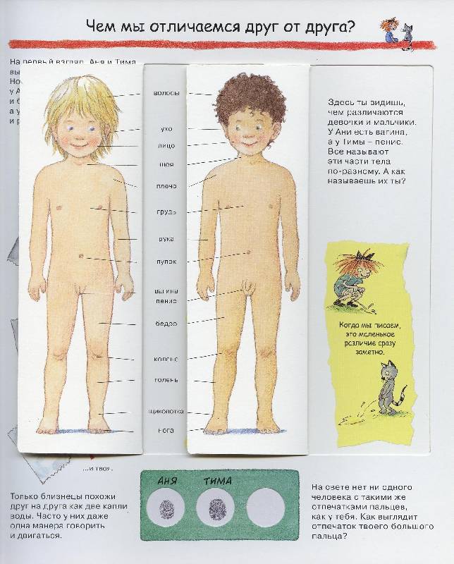 Иллюстрация 28 из 52 для Изучаем свое тело - Дорис Рюбель | Лабиринт - книги. Источник: Igra