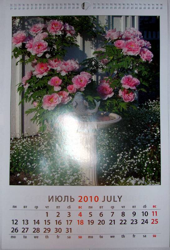 Иллюстрация 5 из 6 для Календарь 2010 Прекрасный сад (12912) | Лабиринт - сувениры. Источник: bukvoedka