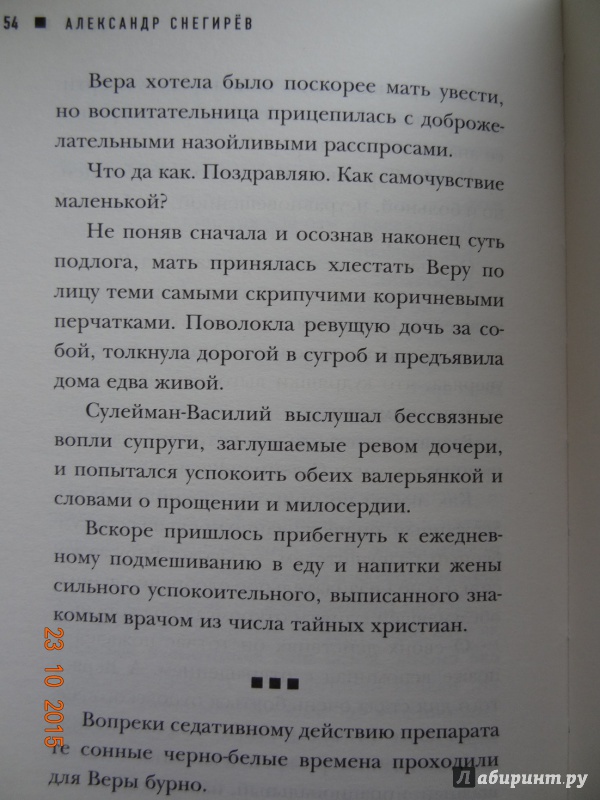 Иллюстрация 20 из 23 для Вера - Александр Снегирев | Лабиринт - книги. Источник: Нетужилова  Наталья