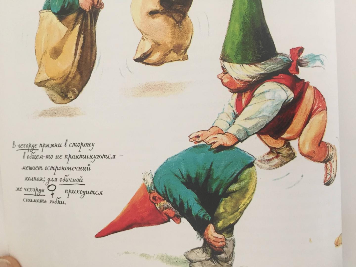 Иллюстрация 59 из 77 для Тайны гномов - Вил Хёйген | Лабиринт - книги. Источник: Корольков  Дмитрий