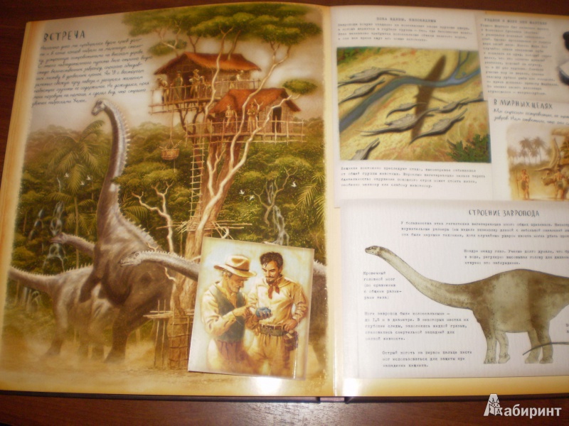 Иллюстрация 15 из 24 для Динозавроведение. Поиски затерянного мира | Лабиринт - книги. Источник: Sanananda