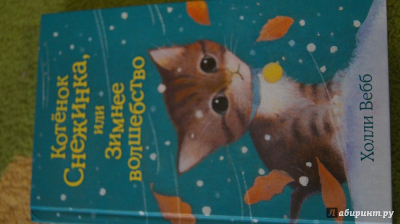 Иллюстрация 5 из 34 для Котёнок Снежинка, или Зимнее волшебство - Холли Вебб | Лабиринт - книги. Источник: Мерцание