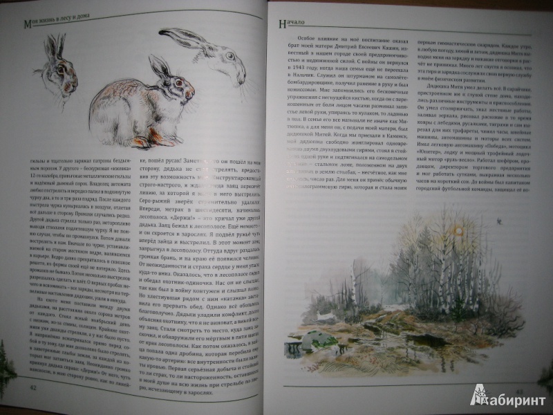 Иллюстрация 5 из 48 для Моя жизнь в лесу и дома - Валентин Пажетнов | Лабиринт - книги. Источник: Макарова  Елена