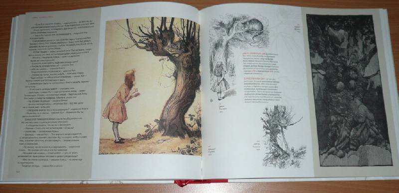 Иллюстрация 13 из 53 для Алиса в Стране Чудес. В стране чудес Алисы - Льюис Кэрролл | Лабиринт - книги. Источник: Pam